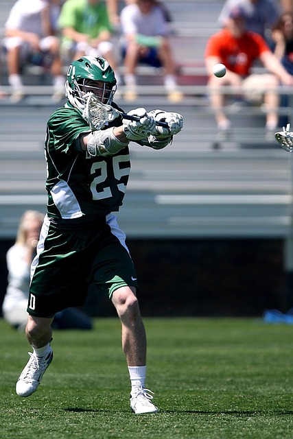 自由为科贝 自由为科贝